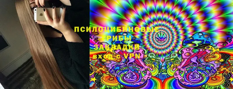 Псилоцибиновые грибы Magic Shrooms  Бирюсинск 