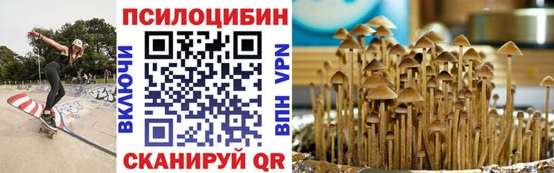 Галлюциногенные грибы MAGIC MUSHROOMS  Бирюсинск 